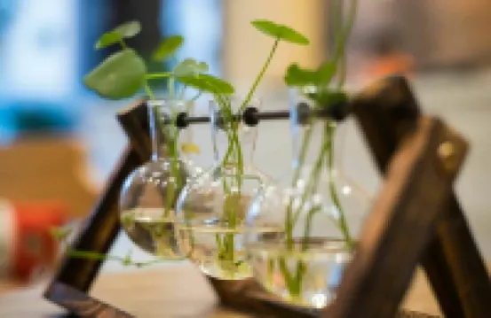 Hengtong Hotel (Fangchenggang Administration Center) Hotel di Fangchenggang