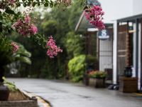 武夷山天泽花园别墅酒店 - 公共区域