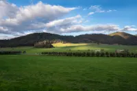 Dreaming of the Buckland