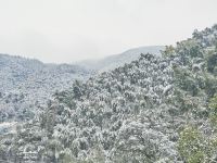 莫干山无问竹语民宿 - 酒店景观