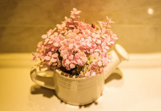 젠셔 호텔 (충칭 서부역) 썸네일