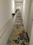 Pingliang 99 Express Business Hotel
