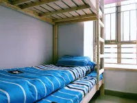 Lemon Tree Youth Hostel