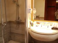 百色紫竹国际大酒店 - 标准大床房
