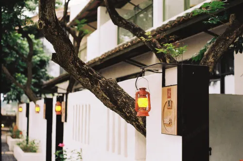 廣州喜臨院（上滘船廠店）