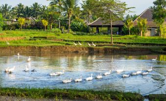 Visesa Ubud Resort