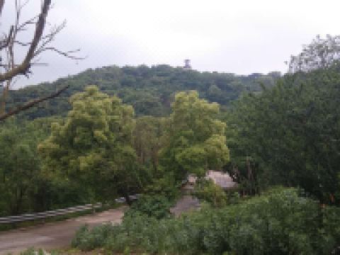 普陀山禅居雅舍 - 酒店附近