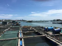 Yangxi Shapa Bay Jieyuan Xiaozhu Homestay