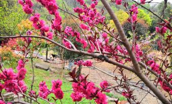 Guangde Taohuayuan Farm