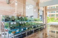 Shanhaiwan Holiday Hotel