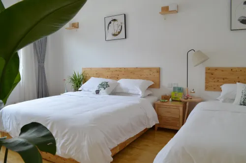 Dayi Jingshi Homestay
