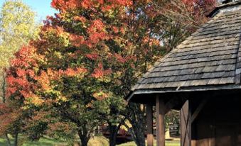 a wooden cabin with a thatched roof sits next to a tree with vibrant autumn foliage at Walnut Waters Bed & Breakfast