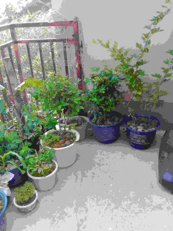 Nuodeng Ling'erling Hostel Отели в г. Юньлун