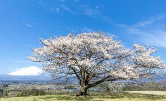 Hotel Just One Fuji Oyama