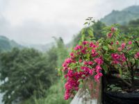 武夷山鹤鸣山居民宿 - 其他