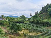 武夷山茶隐山房 - 酒店附近