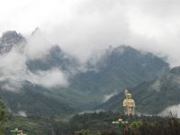 九华山远航君澜度假酒店 - 豪华佛景大床房