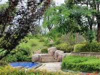 Lotus Hot Spring Hotels in Taishun