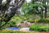 Lotus Hot Spring Hotels in Taishun