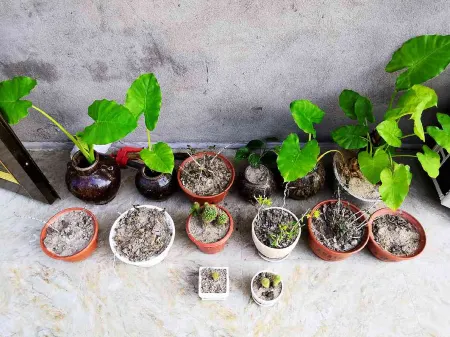 Yannanqi Inn in Yongjia Отели рядом с достопримечательностью «Shiwei Peak»