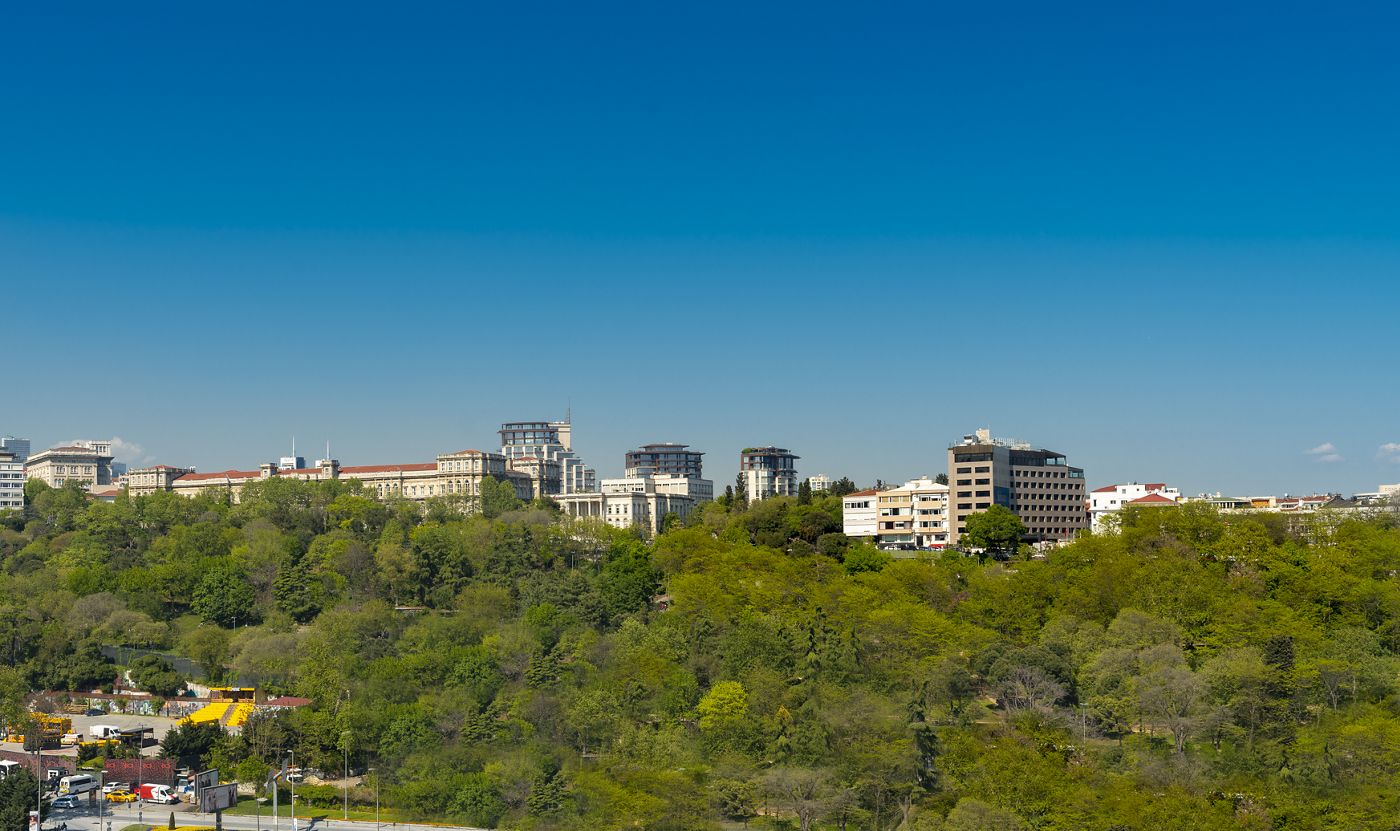 The Ritz-Carlton, Istanbul (The Ritz-Carlton, Istanbul at The Bosphorus)