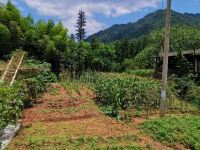 重庆煦岚居山庄