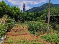 重庆煦岚居山庄