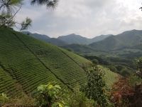 溧阳南橘野舍酒店 - 酒店附近