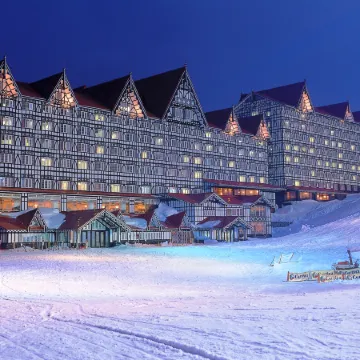 Hotel Green Plaza Hakuba