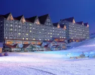 Hotel Green Plaza Hakuba Hotels in Otari