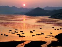 霞浦松山海民宿 - 东壁-阳台海景房