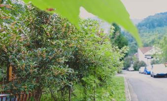 Youyang Meiju Homestay - Housity