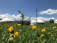 Nalati Flower Field Half acre Resort Center