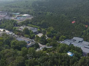 Popular Cultural Hotels in Luoyang