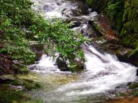 天台浪水溪山居民宿 - 酒店附近