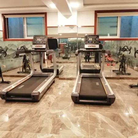 Greentree Eastern Hotel (Linshu Aiqinhai)