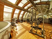 The Ritz-Carlton, Santiago - Fitnessstudio