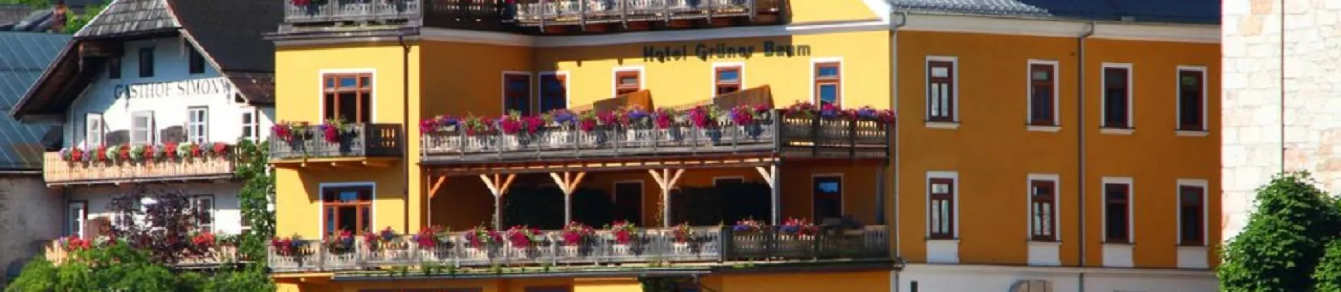 Scenic Hotels