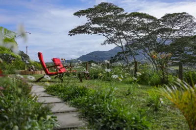 그린 코티지 샤마렐 돌고래 스피드 보트 주변 호텔