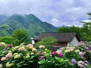 One Mountain Nine Houses