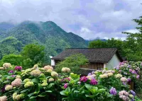 一山九舍 白沙村附近的飯店