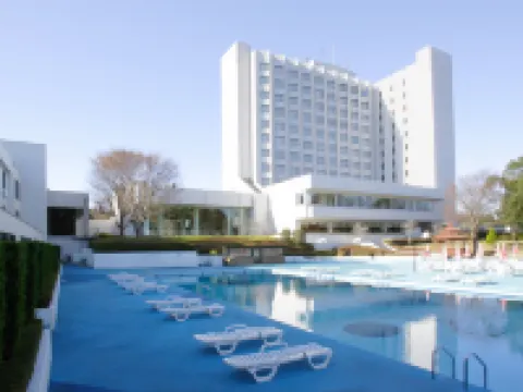 インターナショナルリゾートホテル湯楽城 千葉 富里のホテル