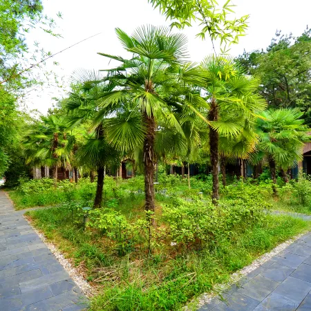 Tianzi Lake Ecological Resort