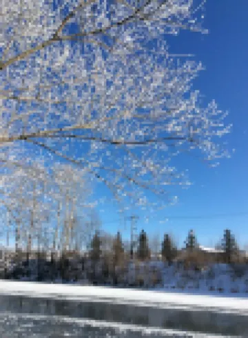 長白山舒馨旅館