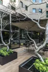 Starhotels Echo - bar