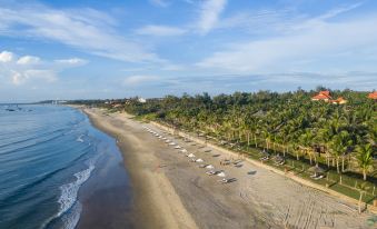 aerial view of a sandy beach surrounded by palm trees , with numerous lounge chairs and umbrellas set up for people to relax at Pandanus Resort