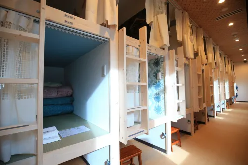 Cafe&Hostel Kimi to Ichigo