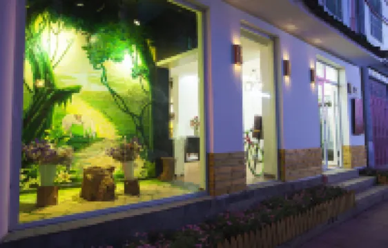 Dali Ancient Town No. 204 Ideal Youth Hostel