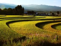 鹤庆出山小住客栈 - 酒店附近