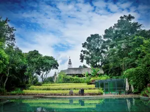 Mijing Wazhai Rice Field Manor